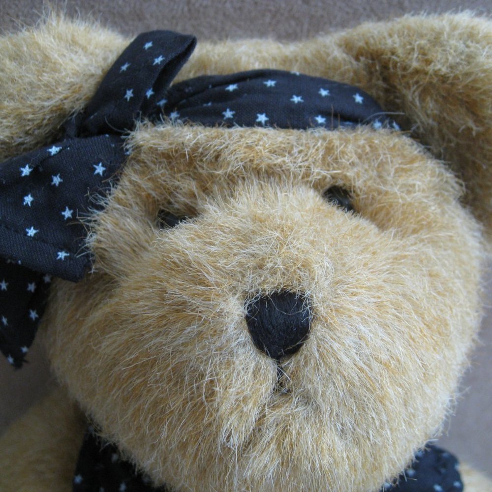 Boyds Bear Heart To Heart Brooke Brown Stuffed Animal Collection Red Heart Paw - Picture 7 of 10
